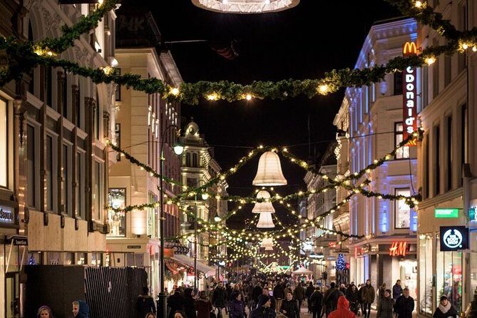 Oslo: Private VIP City Tour by Luxury Minivan with Driver & Guide - Practical Considerations