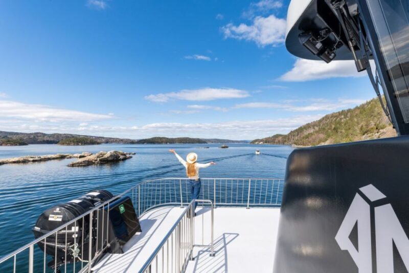 Oslo: Scenic Fjord Cruise with Audio Guide Commentary - A Relaxed and Scenic Journey: Oslos Electric Fjord Cruise with Audio Guide
