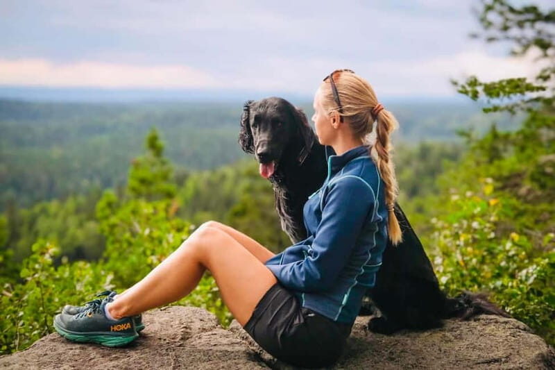 Oslo: Scenic Forest Hike with Dog & Local Guide - Final Thoughts: Why You Should Consider This Forest Hike