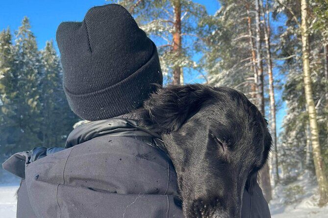Oslo: Scenic Forest Hike with Dog & Local Guide - Exploring Oslo’s Forests with a Local Touch