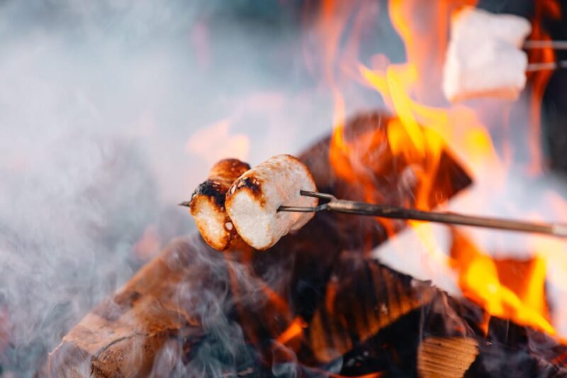 Oslo: Snowy Forest Torchlight Walk with Campfire - FAQ