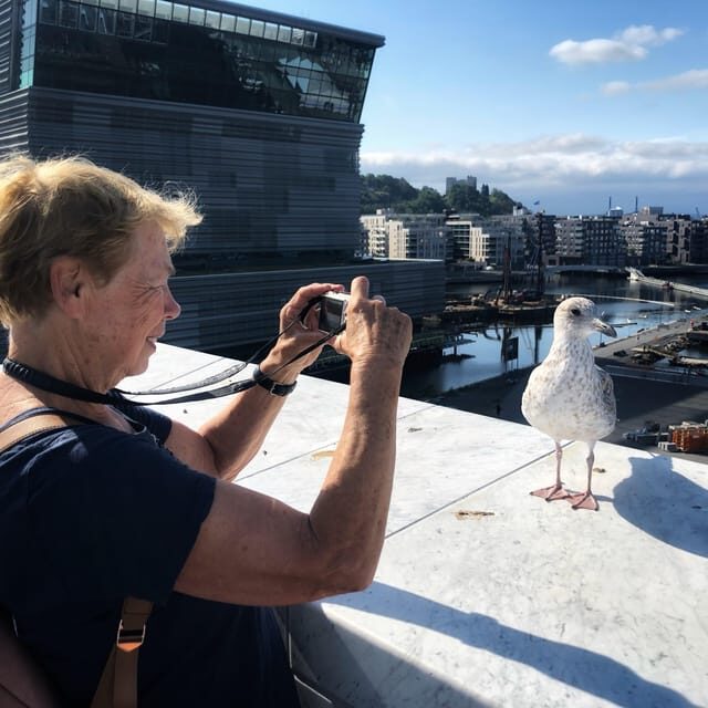 Oslo Unveiled: Private Walking Tour - An In-Depth Look at Oslo Unveiled: Private Walking Tour