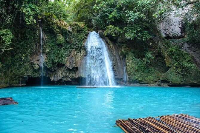 Oslob Whale Shark and Kawasan Falls Day Tour - A Complete Guide to Cebu’s Oslob Whale Shark and Kawasan Falls Day Tour