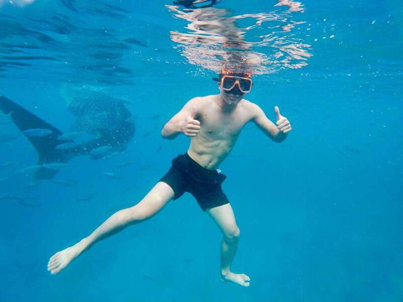 Oslob Whale Shark Direct - Exploring the Oslob Whale Shark Direct Tour: What You Need to Know