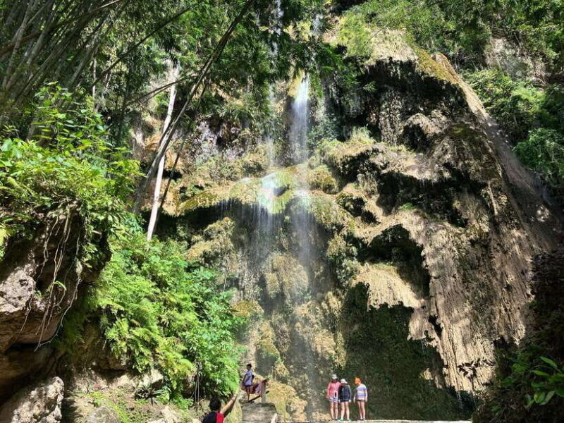 Oslob Whale Shark & Tumalog Waterfalls & Sumilon Sandbar - A Close Look at the Tour Experience