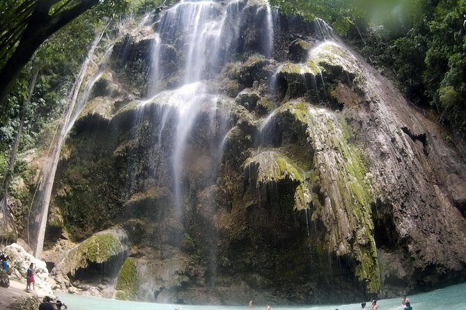Oslob Whale Shark Watching - A Detailed Look at the Tour Experience