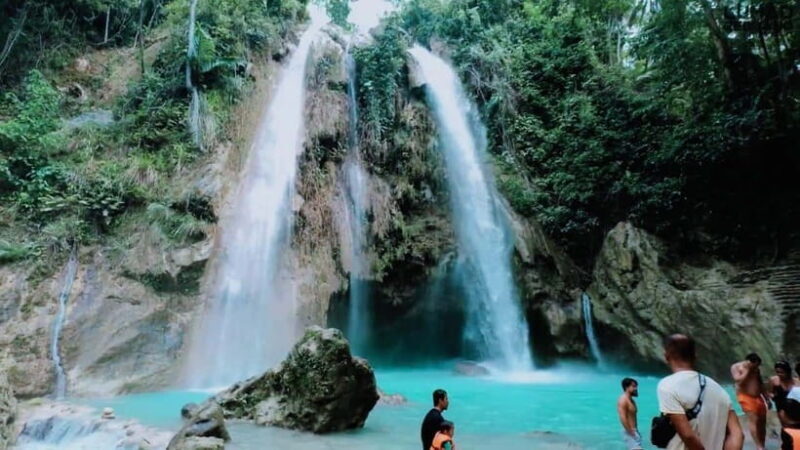 Oslob: Whale Sharks, Inambakan Falls & Moalboal Sardines - Who Should Consider This Tour?