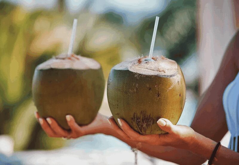 Oslob: Whale Sharks, Tumalog Falls, & Monkey Sanctuary Tour - Lunch and Cultural Stops