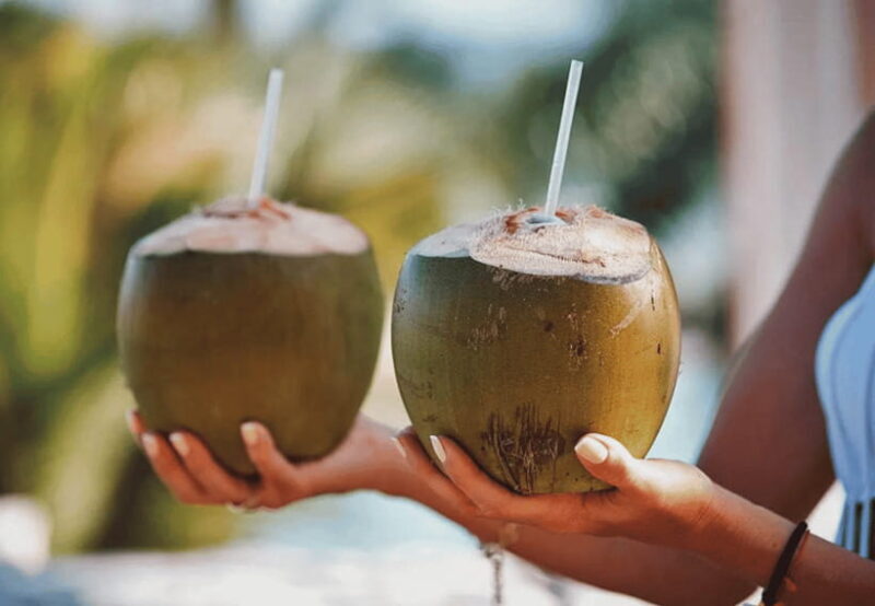 Oslob: Whale Sharks, Tumalog Falls, & Monkey Sanctuary Tour - Authentic Moments in Oslob