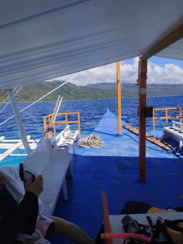 Oslob: Whale Sharks, Tumalog Falls & Sumilon Trio Adventure - An In-Depth Look at Your Oslob Adventure