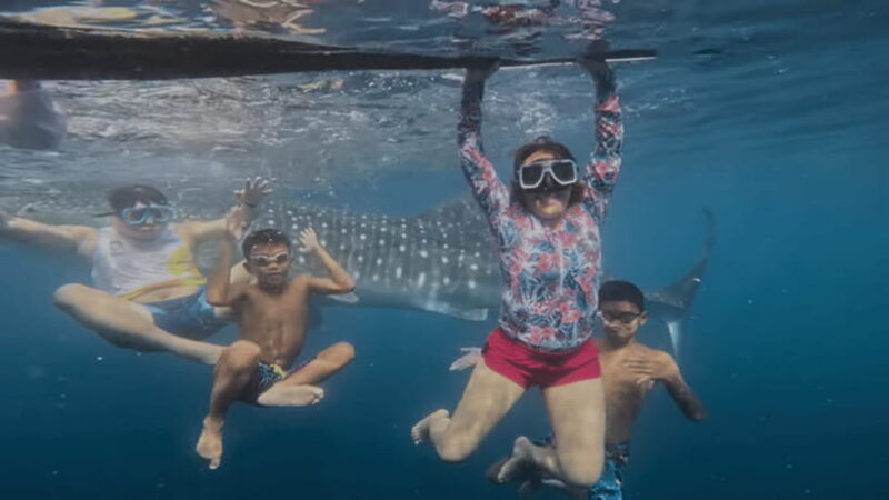 Oslob: Whale Sharks, Tumalog Falls & Sumilon Trio Adventure - Key Points