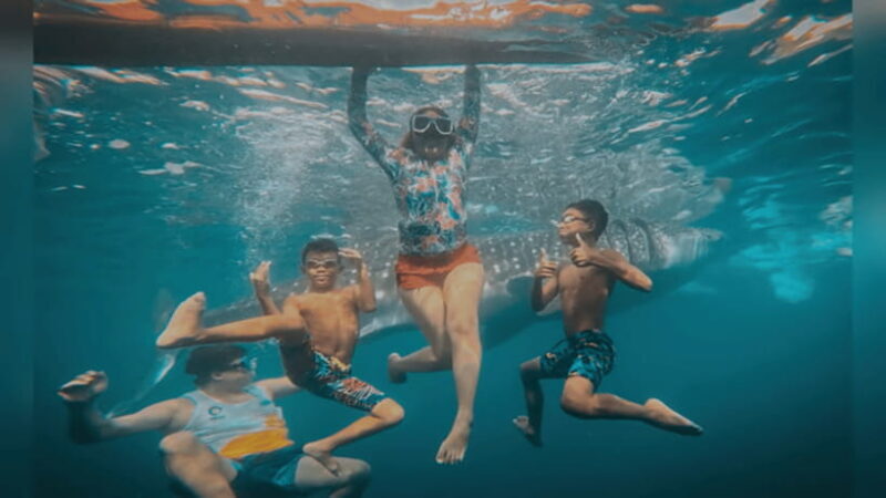 Oslob: Whale Sharks, Tumalog Falls & Sumilon Trio Adventure - A Deep Dive Into the Oslob: Whale Sharks, Tumalog Falls & Sumilon Trio Adventure