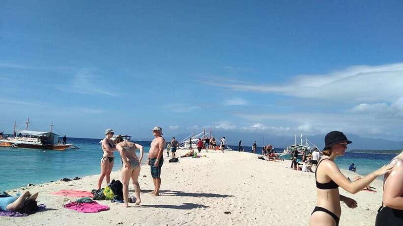 Oslob: Whaleshark Watching, Tumalog Falls & Sumilon Island - The Value of This Tour