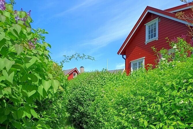Oslofjord Island Hopping Tour - An In-Depth Look at the Oslofjord Island Hopping Tour