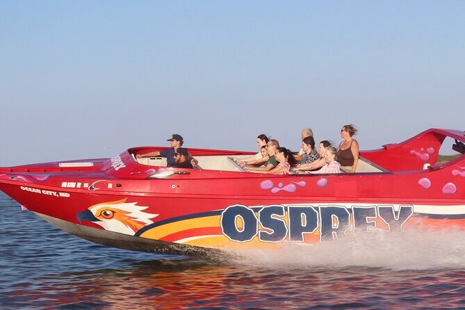 Osprey: A Unique Jet Boat Experience - An In-Depth Look at the Osprey Jet Boat Tour