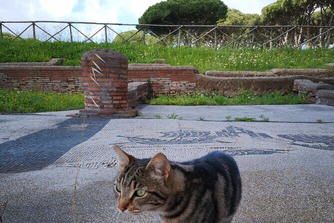 Ostia Antica archeological park with Italian GELATO - Practical Tips and What to Expect