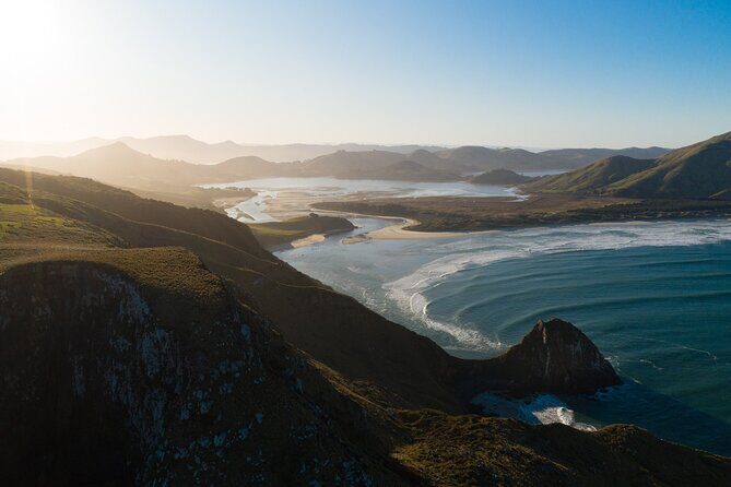 Otago Peninsula In-Depth Tour & Blue Penguins Pukekura Experience - The Full Experience: What to Expect and Why It Matters