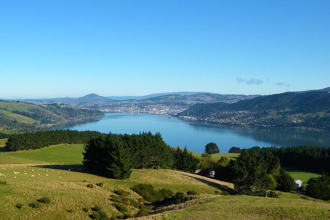 Otago Peninsula Scenery and Dunedin City Highlights Tour - An In-Depth Look at the Otago Peninsula Scenery and Dunedin City Highlights Tour