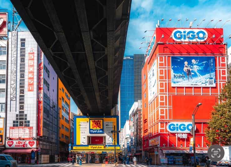 Otaku Tokyo Tour: Akihabara and Nakano Broadway - A Closer Look at the Otaku Tokyo Tour