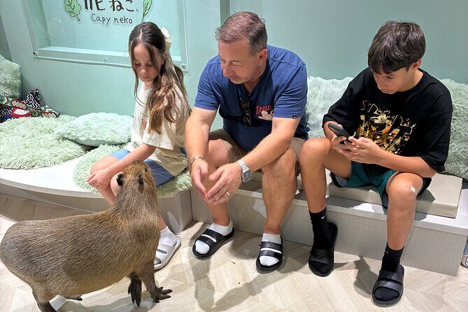 Otaku Tour in Akihabara - Authentic Experiences and Practical Insights