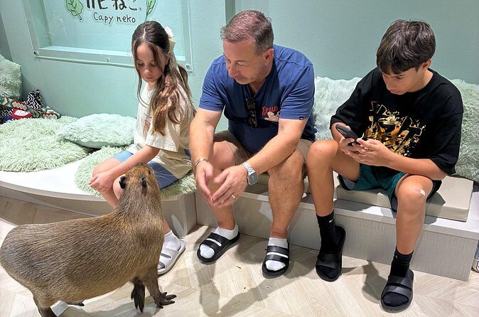 Otaku Tour in Akihabara - Who Should Consider This Tour?