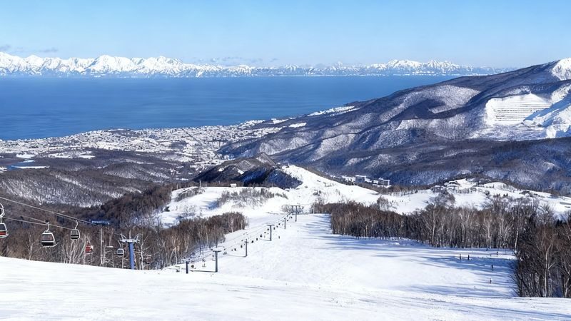 Otaru Asarigawa Onsen Ski Resort Day Trip: Professional Chinese and English instructors, one-person group, with complimentary photography service (departure from Sapporo, Hokkaido) - What the lesson can do for a beginner