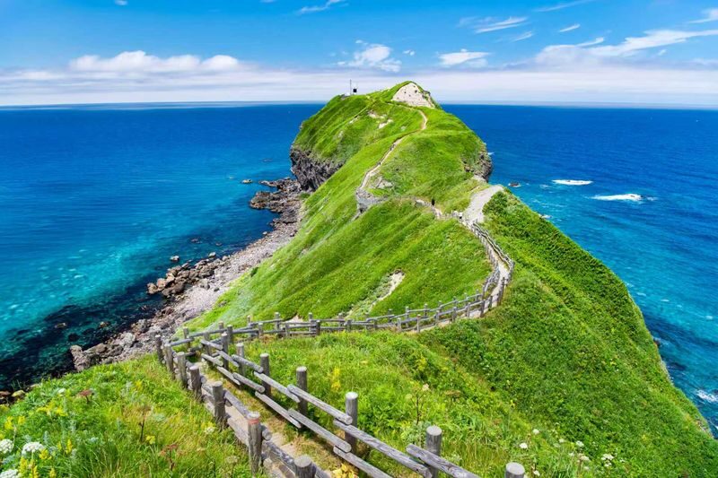 Otaru, Nikka Whisky & Shakotan Blue Full-Day Tour - Otaru, whisky and the Shakotan coast in one day