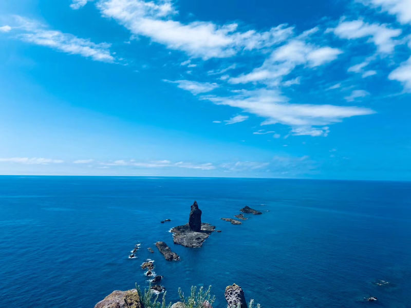 Otaru Tenguyama & Cape Kamui Full-Day Small Group Tour - Why this day works best by car