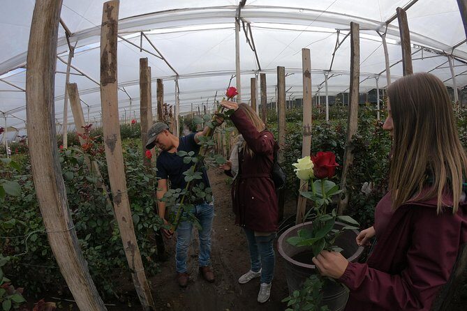 Otavalo the biggest market in South America - Key Points