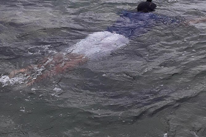 Other side of heaven Eco friendly snorkeling adventure - Frequently Asked Questions (FAQs)