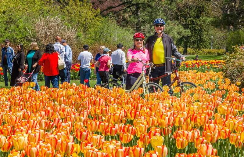 Ottawa: 2 or 3.5-Hour Guided Bike Tour with a Local Guide - Ottawa: 2 or 3.5-Hour Guided Bike Tour with a Local Guide