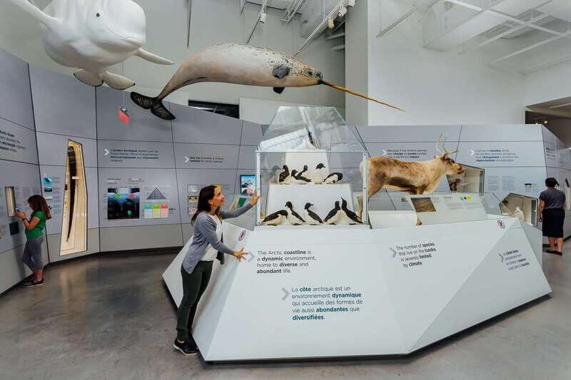 Ottawa: Canadian Museum of Nature Admission - Discover the Wonders of Canada at the Canadian Museum of Nature in Ottawa