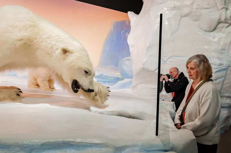 Ottawa: Canadian Museum of Nature Admission - The Sum Up