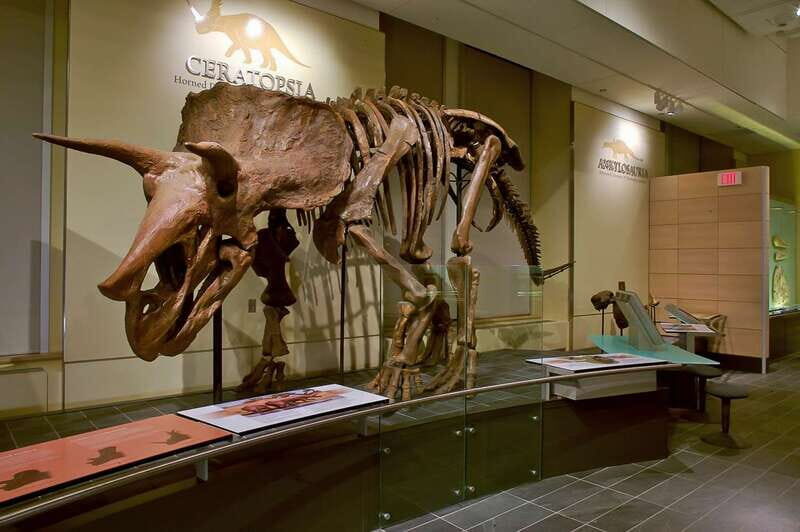 Ottawa: Canadian Museum of Nature Admission - FAQ