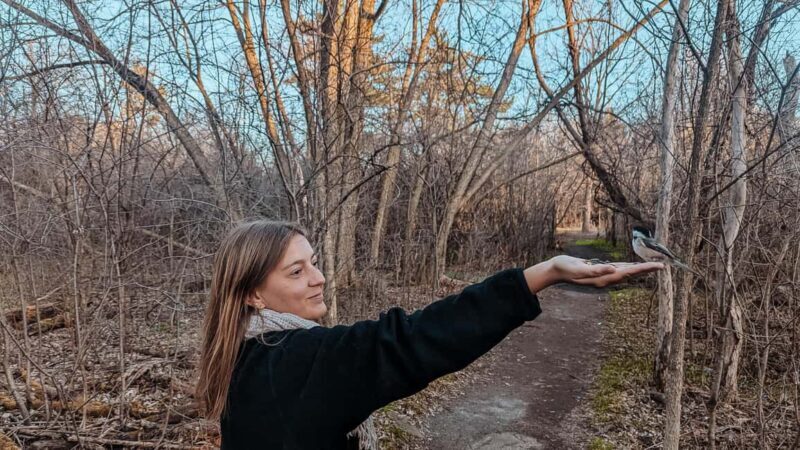 Ottawa: Guided Nature Walk & Wildlife Tour with Hotel Pickup - The Sum Up