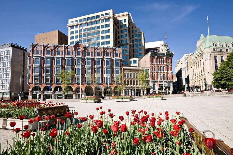 Ottawa: Hop-On Hop-Off Guided City Tour Pass - Transportation & Logistics