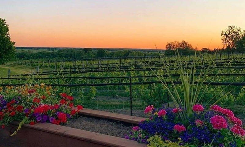 Ottawa: Local Wine and Cider Tour - Final Thoughts