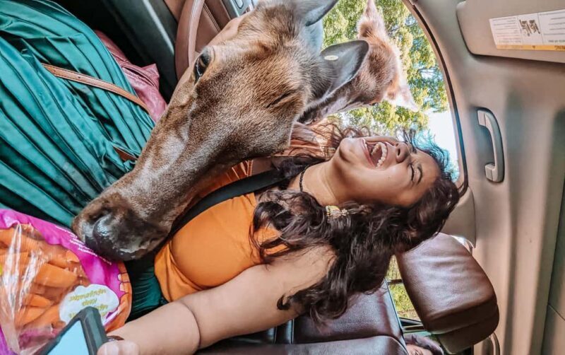Ottawa: Private Wildlife Adventure Safari in Parc Omega - FAQs