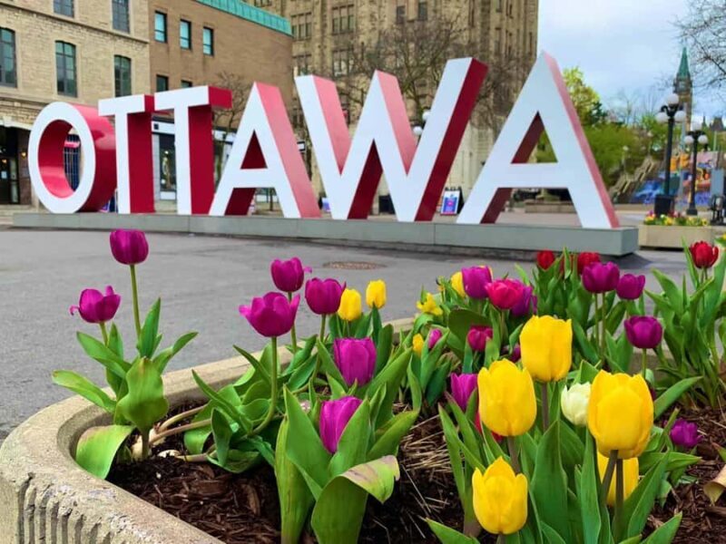 Ottawa: Tulip Festival and ByWard Market Tour - A Deep Dive into the Ottawa Tulip Festival and ByWard Market Tour