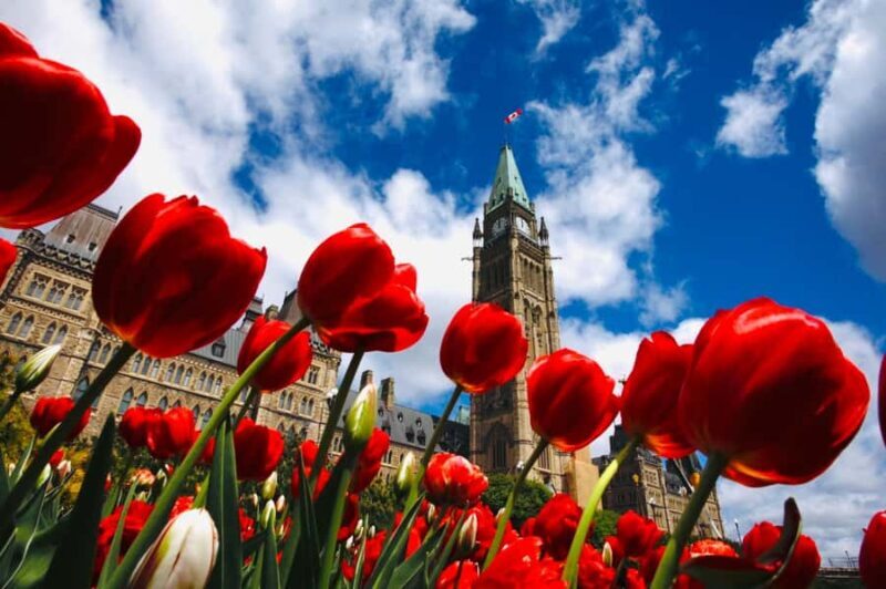 Ottawa: Tulip Festival and ByWard Market Tour - Final Thoughts