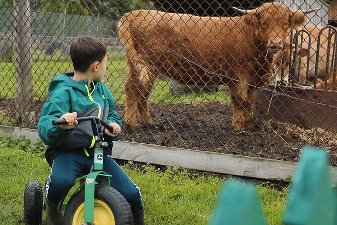 Ottawa Valleyview Little Animal Farm Tour - Why We Think It’s Worth Your Time