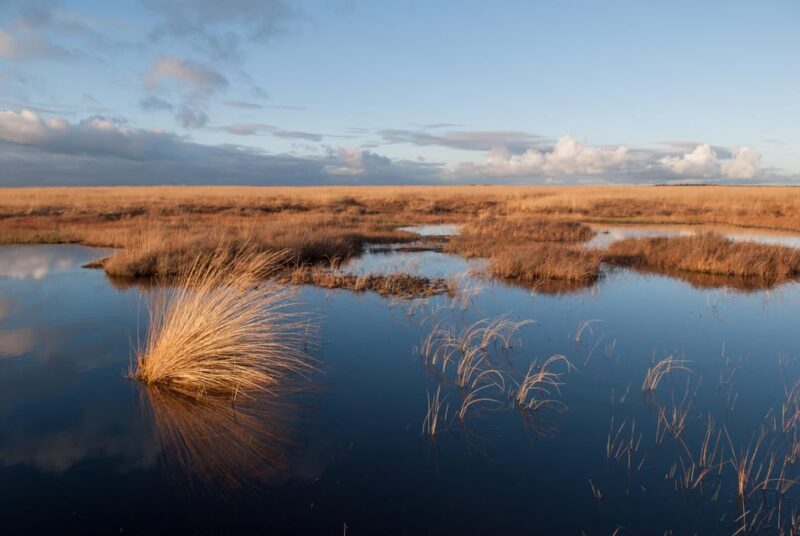 Otterlo: De Hoge Veluwe National Park Entry Ticket - Otterlo: De Hoge Veluwe National Park Entry Ticket — A Detailed Review