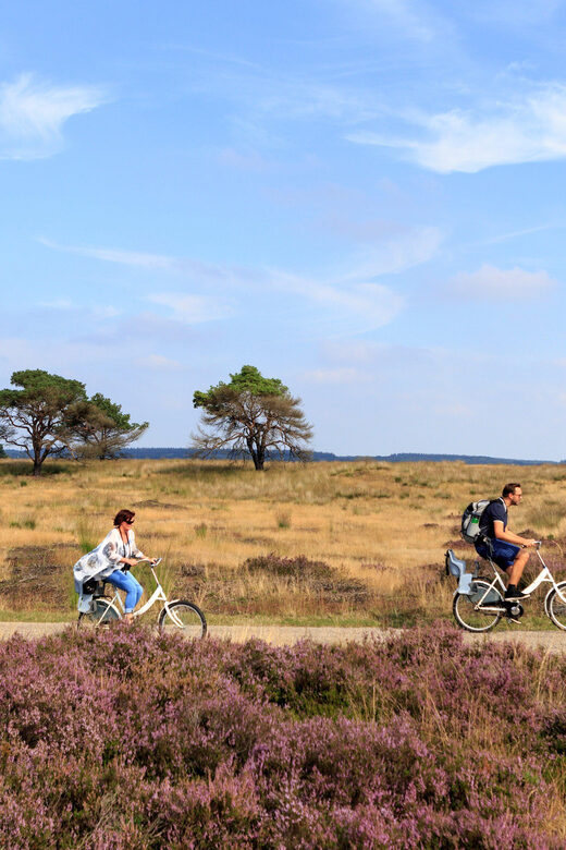 Otterlo: De Hoge Veluwe National Park Entry Ticket - Who Should Consider This Tour?
