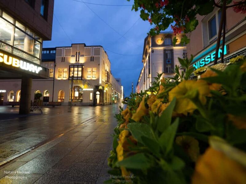 Oulu City Tour: Discover the heart of Oulu in just 1 hour! - Final thoughts: Who will love this tour?