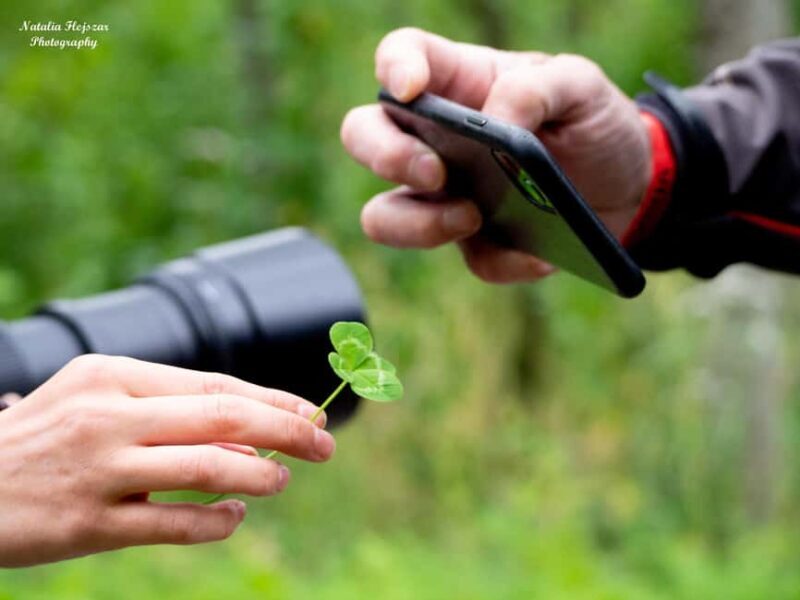 Oulu: Hietasaari Family Nature Walk with Picnic - Oulu: Hietasaari Family Nature Walk with Picnic — A Genuine Finnish Wilderness Experience