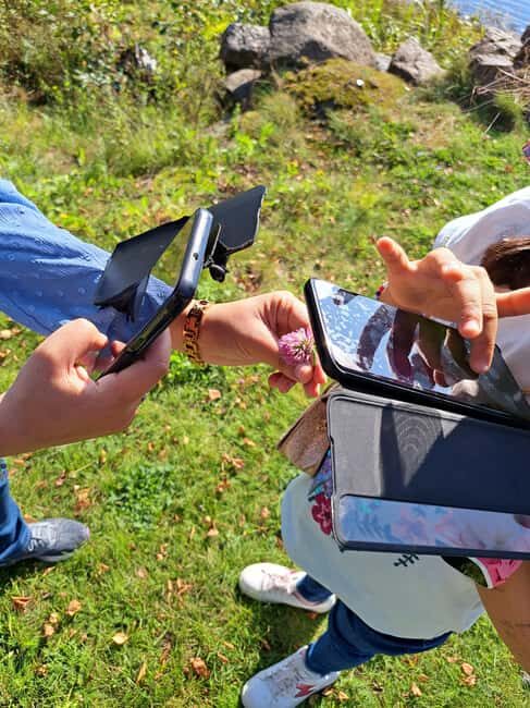 Oulu: Hietasaari Family Nature Walk with Picnic - Key Points