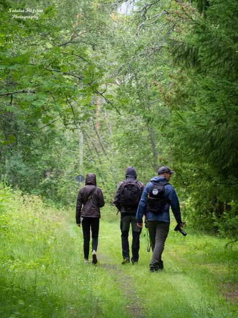 Oulu: Hietasaari Family Nature Walk with Picnic - What to Expect: A Step-by-Step Experience