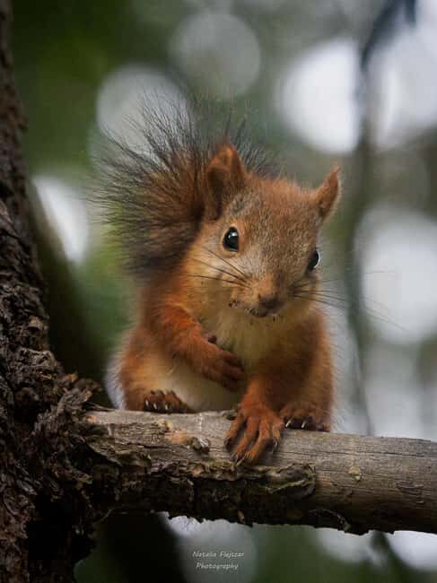 Oulu: Hietasaari Family Nature Walk with Picnic - Final Thoughts: Is It Worth It?