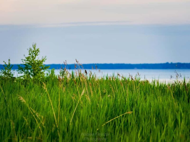 Oulu: Hietasaari Family Nature Walk with Picnic - FAQ