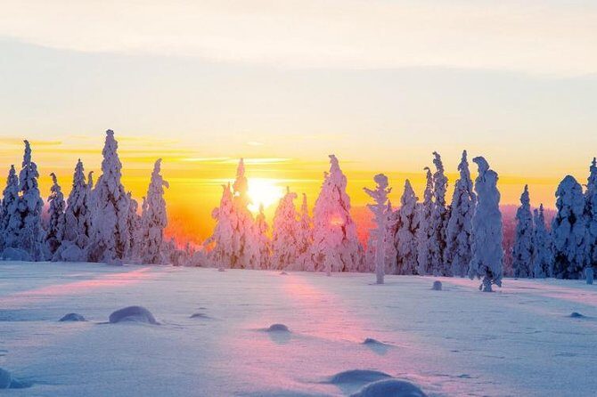 Ounasvaara and Ranua Zoo - Key Points